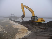 Restoring an Estuary